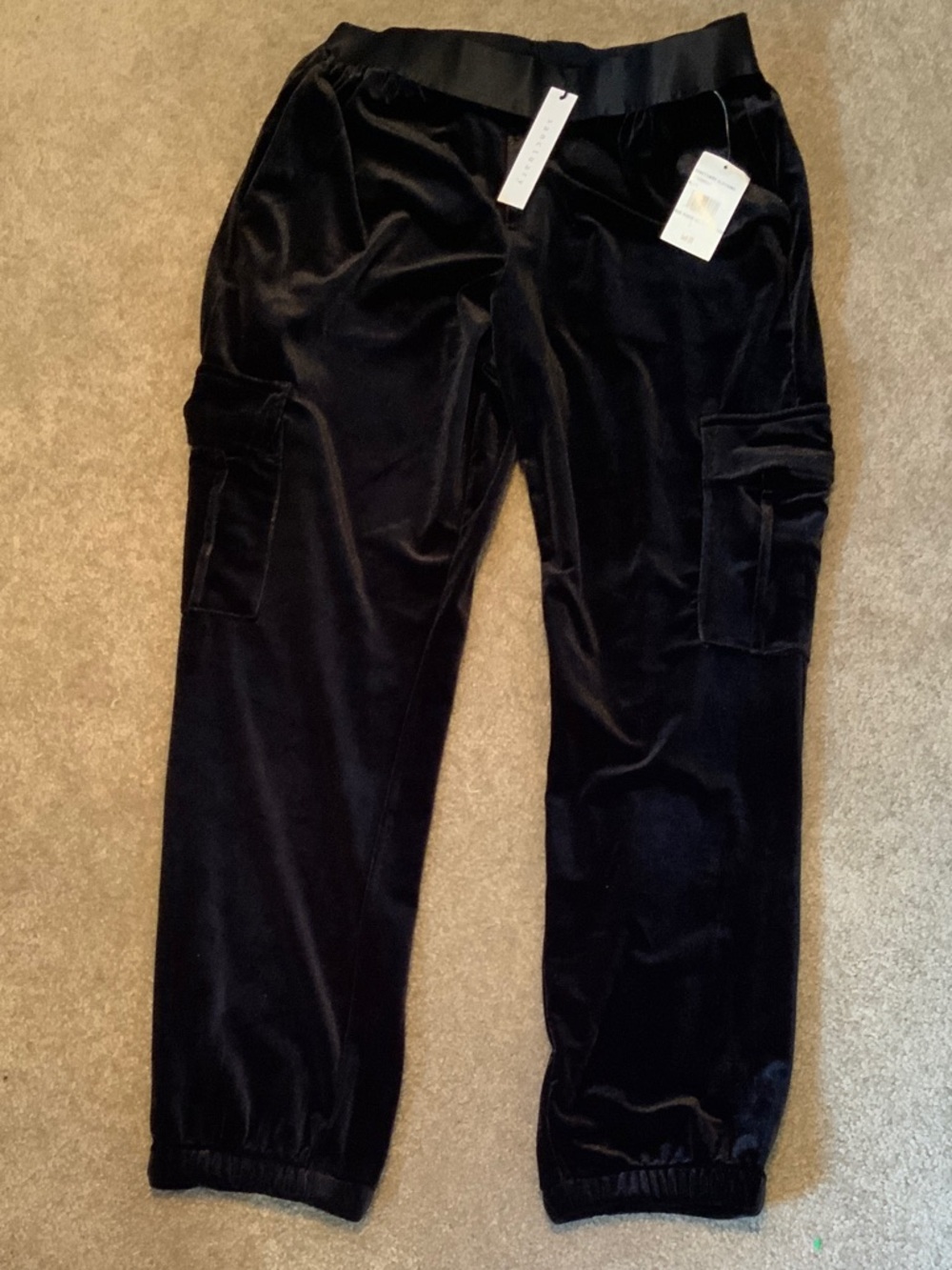 Sanctuary Black Velvet Jogger Pants